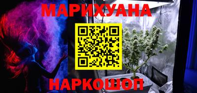 сатива Будённовск