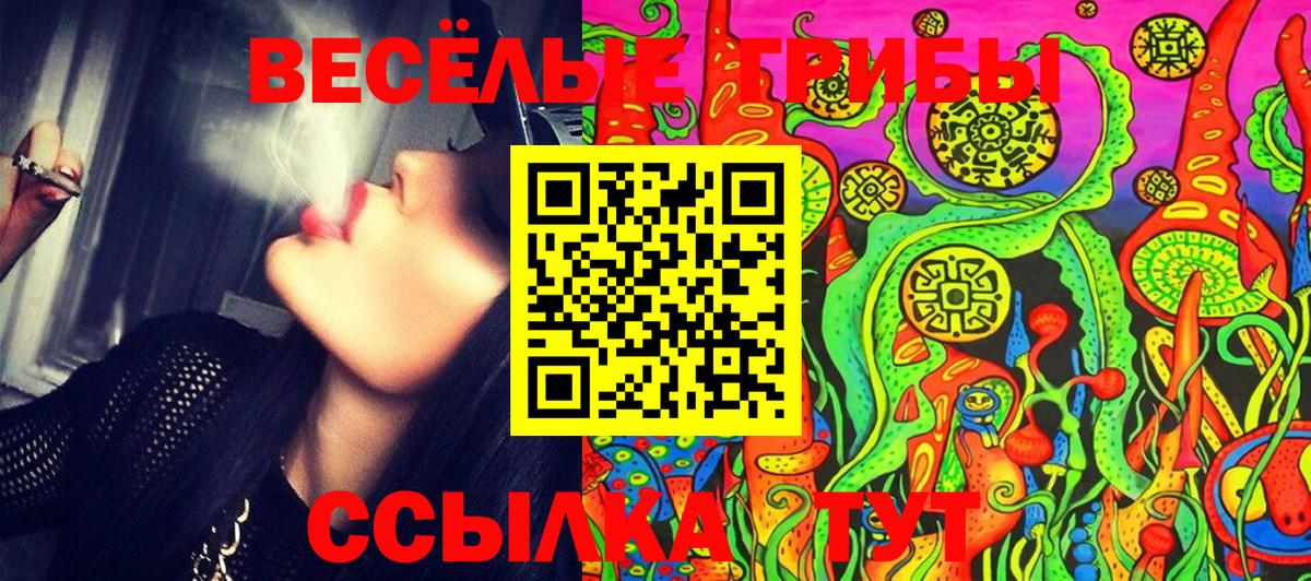 Псилоцибиновые грибы мухоморы  Вход с VPN  Куйбышев 